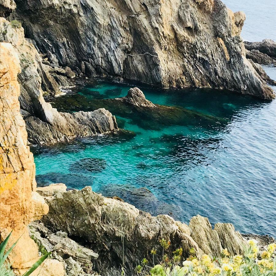 Villa K Presqu Ile De Giens Hyères Dış mekan fotoğraf